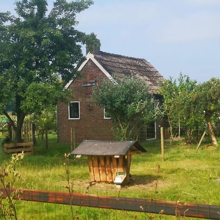 Trekkershut - Tiny House - Hikers Cottage Wijster Exterior foto