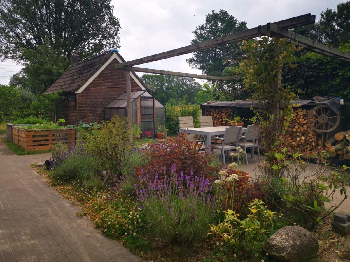 Trekkershut - Tiny House - Hikers Cottage Wijster Exterior foto
